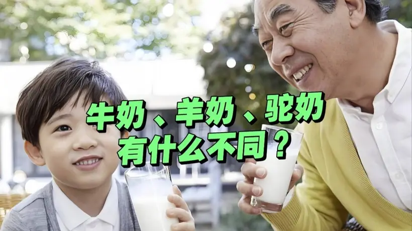 三款奶营养大比拼 亲测不同饮用感受藏这些细节