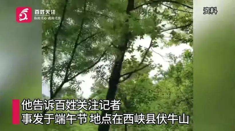 河南一男子上山祭祀遭老鹰偷袭:一度怀疑自己撞鬼了,期间共遭3次俯冲攻击;男子仅受皮外伤,目前已就医并接种破伤风疫苗