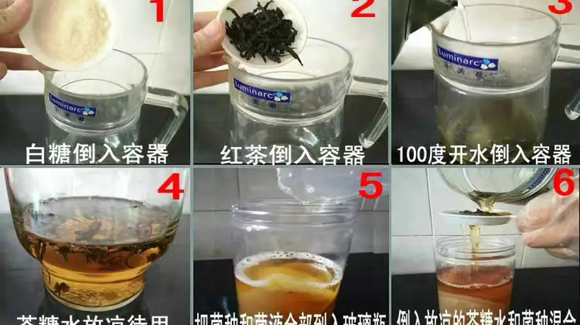 糖分不低、活菌含量存疑,“茶饮新贵”康普茶饮料真的健康吗?