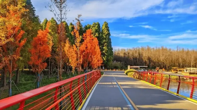 不要浪费昆明的雨天!7条专线带你解锁滇池湿地限定美景