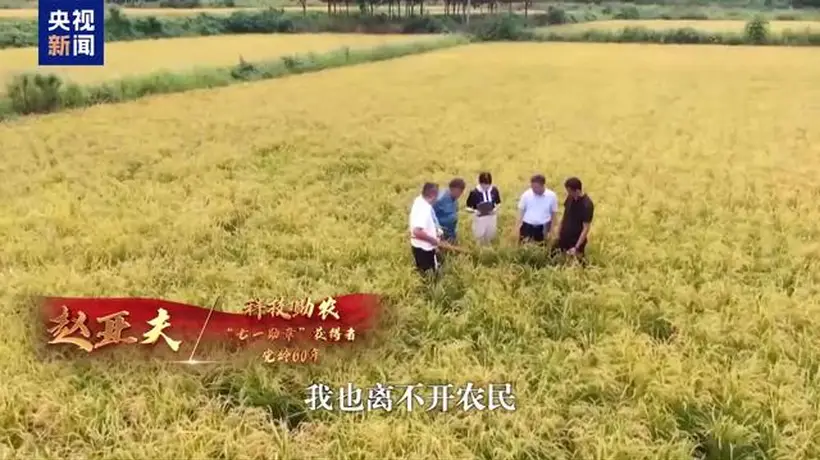 大党丨勋章无言