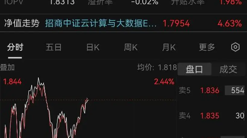 权重股催化助推中际旭创H股IPO发行价公布 云计算ETF午后涨势延续