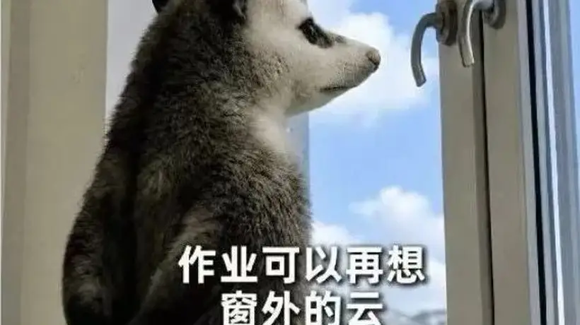 国美造型等专业新生假期要交速写作业 超200份生活记录引网友热议
