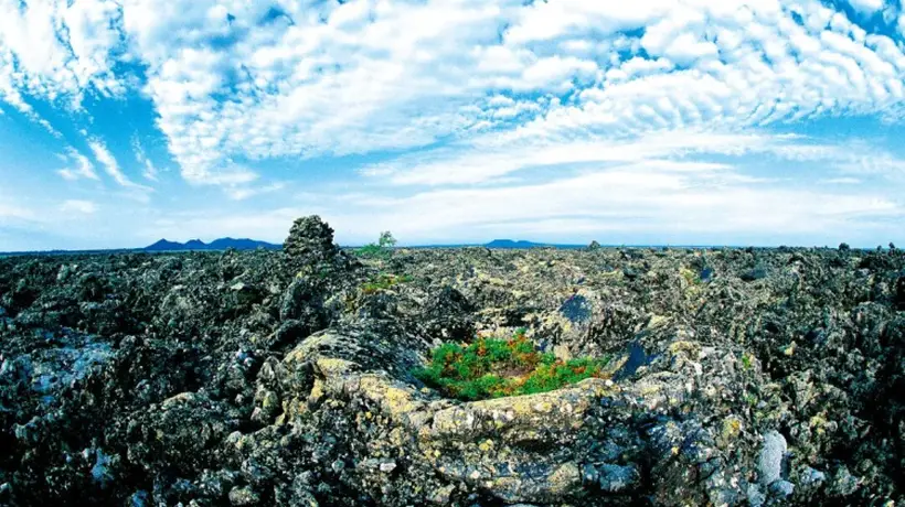 五大连池超火活动集结!赏非遗秀逛文旅市集 火山圣水节等你来玩