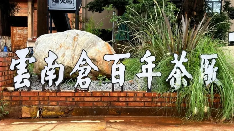 临沧茶区多元活动启幕 参与茶产业交流助力本土特产走出大山
