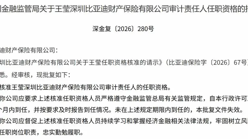 比亚迪财险审计责任人落地 上半年净利飙涨超280% 承保业务仍处亏损状态