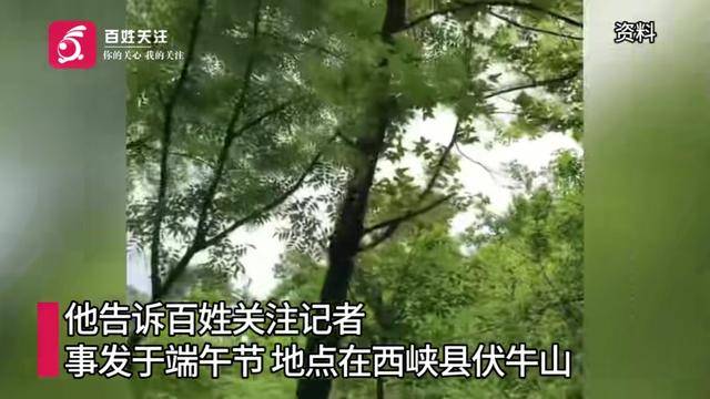 河南一男子上山祭祀遭老鹰偷袭：一度怀疑自己撞鬼了，期间共遭3次俯冲攻击；男子仅受皮外伤，目前已就医并接种破伤风疫苗