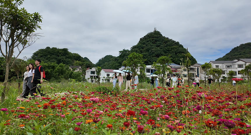 “村有界·创无边”第八届贵州省乡村旅游创客大赛开展赛前实地调研考察