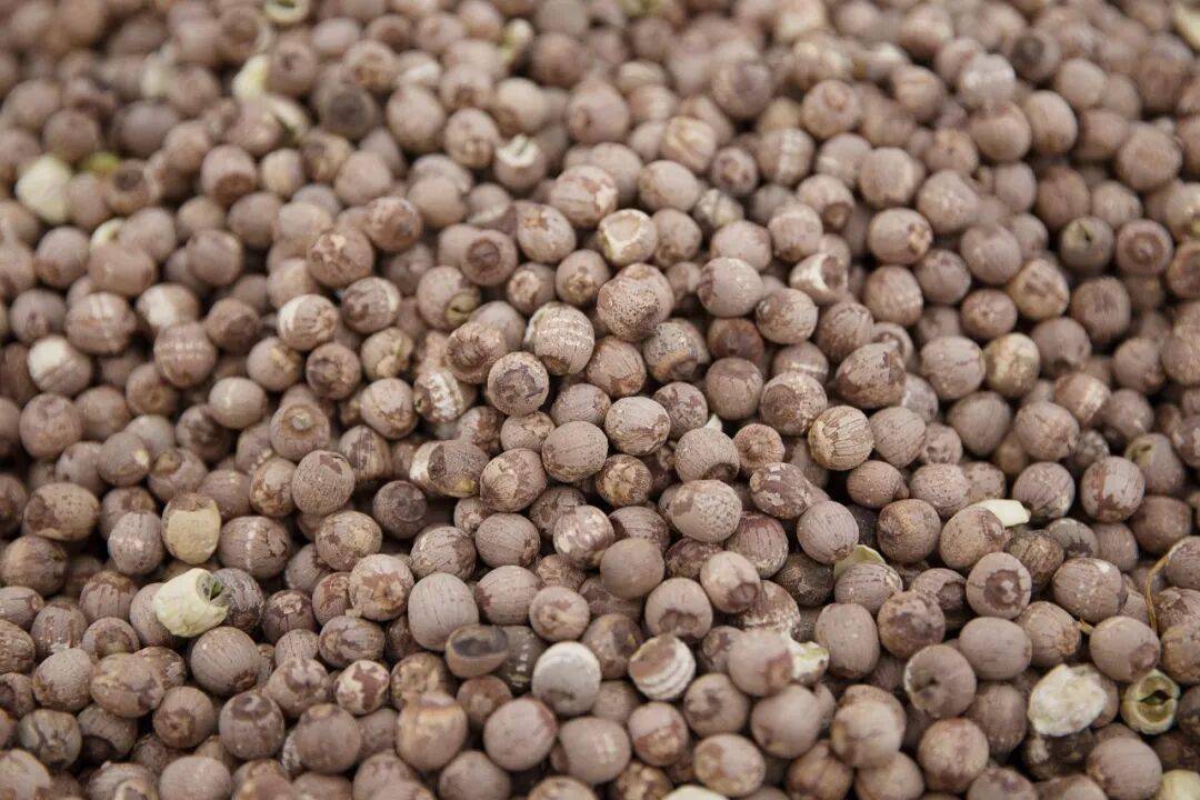 保胃健康｜盛夏养心正当时，用这4种红色食材煲一碗“四红补心汤”，安神度苦夏