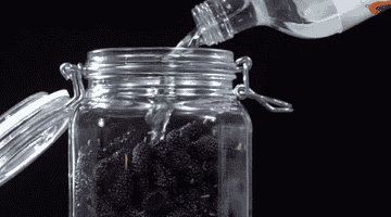桑葚桑果泡酒用什么酒最好?最全选择指南揭晓