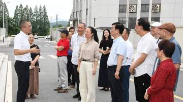 沪武茶缘共谱新篇 上海茶行业协会深化武义茶产业合作