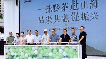贵州首届抹茶产业发展交流会启幕 抹小茗五店齐开邀你共赴茶香之约
