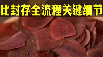 新手也能上手的鹿茸泡酒配比封存全流程 参与家庭养生酒制作的关键细节