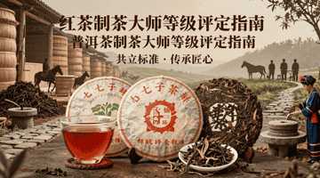 红茶、普洱茶制茶大师等级评定全国征募启动,邀您参与标准制定,解锁多元行业价值体验!
