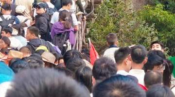 百万吐槽刷屏,景区千景一面,二十亿古城巨亏谁来整改?