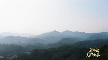 总书记走进百姓家|“把茶叶经营好,把日子过得更红火”