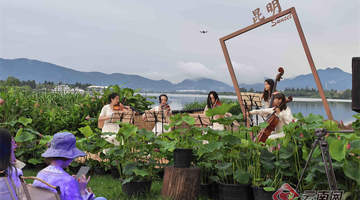 昆明大观公园第二十二届荷花文化节启幕