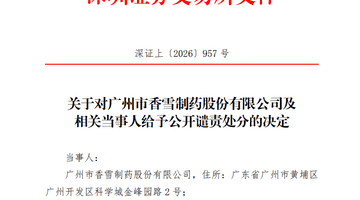 300147及董事长,被深交所公开谴责