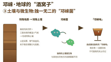 为什么说邛崃是世界白酒第一大原乡?