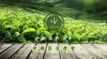 茶科普 | 中国新茶饮香飘海外的“出海密码”
