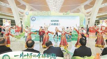 粤黔协作抢抓微短剧风口 撬动县域内生动力