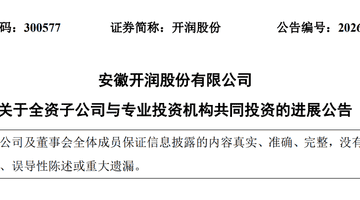 DeepSeek估值,被一家安徽箱包公司给全部暴露了