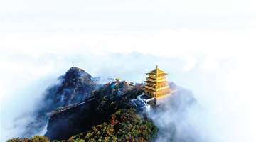 清凉一夏 潮玩济源