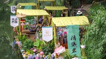 水上市集:姑苏河畔的夏日旧梦
