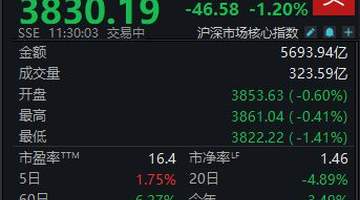 A股半日震荡沪指收跌1.2% 市场多元板块冷热分化引参与关注
