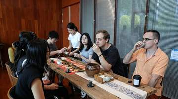 宝安这场国际青年品茶宴 外国青年戴上AI智能眼镜沉浸式体验中国茶香