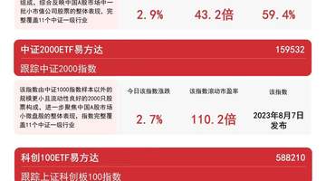 中小盘赛道热度拉满 科创100、中证1000大涨之际 两只半导体细分龙头20CM涨停 易方达中证1000ETF近两日吸金超3.7亿
