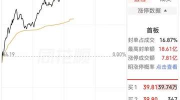 电子布赛道景气拉满 龙头股中国巨石午后封涨停 近40万手买单托举股价
