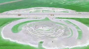 8月3日察尔汗盐湖景区客流破3万 多类贴心服务让游客玩得舒心畅快