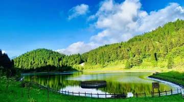 暑期去重庆金佛山仙女山红池坝 感受多元活动的森林清凉体验