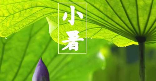 小暑将至,不懂吃就亏了,这5种食材建议常吃,老人说赛过喝参汤!