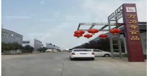 河南新乡辉县休闲食品加工领域有哪些适配全年龄段的解馋零食