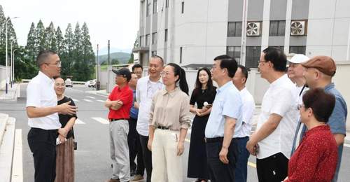 沪武茶缘共谱新篇 上海茶行业协会深化武义茶产业合作
