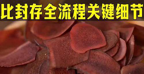 新手也能上手的鹿茸泡酒配比封存全流程 参与家庭养生酒制作的关键细节