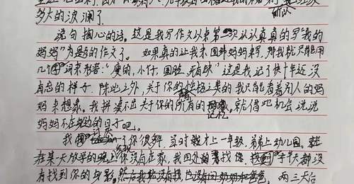 看哭两百万人的少年心声 他用沾着指甲盖碎渣的作文 把软肋写成照护弟弟的铠甲