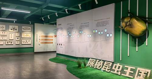 珍稀标本+活体展演 昆明动物博物馆打造沉浸式昆虫科普盛宴