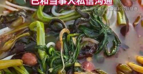 广西南宁一女子吃螺蛳粉竟吃出一条蛇,称连解释和安抚都没有;涉事摊主发声明:就顾客吃出小菜花蛇一事,诚恳致歉并愿赔偿