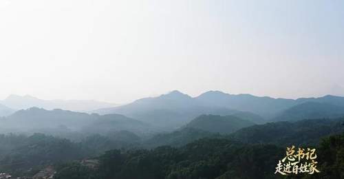 总书记走进百姓家|“把茶叶经营好,把日子过得更红火”