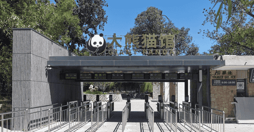 攀爬嬉水设施齐备!萌兰等5只“国宝”入住新居