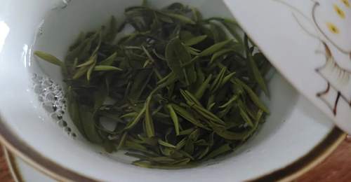 夏饮雨花,金陵清欢