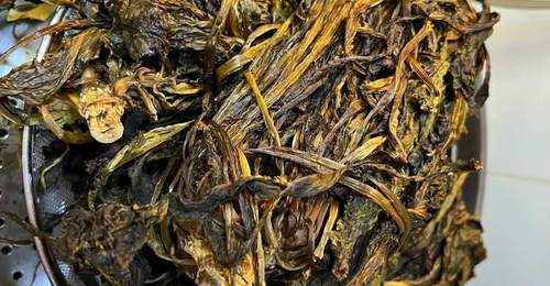 家常自制梅干菜,传统老方子零失败,干香浓郁蒸肉必备