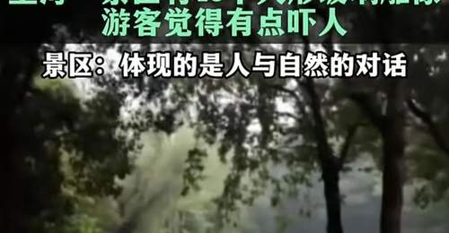 48个玻璃人形吓到游客,公共艺术翻车症结在忽视“公共” | 新京报快评