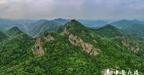 邓彩云:合肥之巅,飒飒凌空