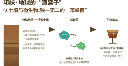 为什么说邛崃是世界白酒第一大原乡?