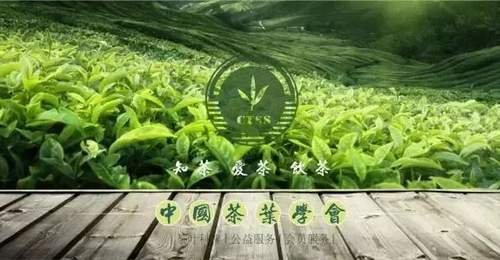 茶科普 | 中国新茶饮香飘海外的“出海密码”