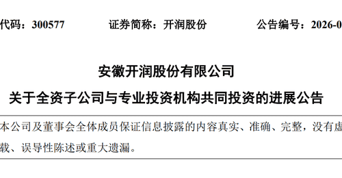 DeepSeek估值,被一家安徽箱包公司给全部暴露了
